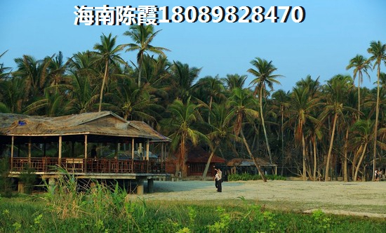 海南天鹅湾海景房