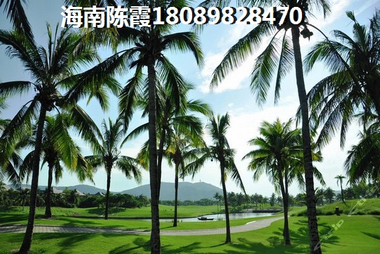 盛世皇冠
