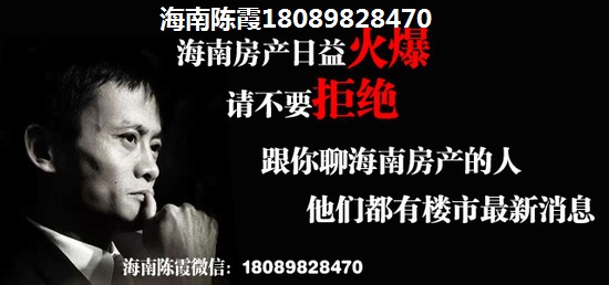 万泉语润商品房