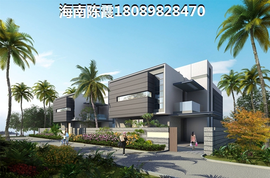 左城右海能不能入手