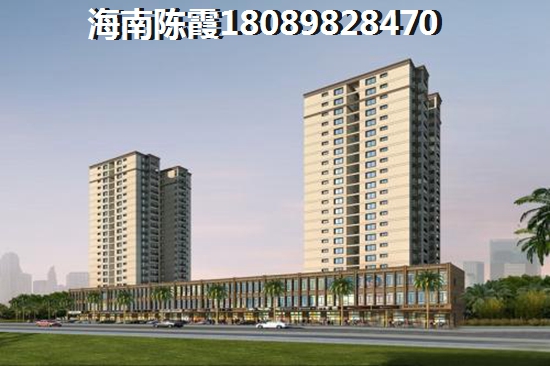 在海南哪个县发展醉好