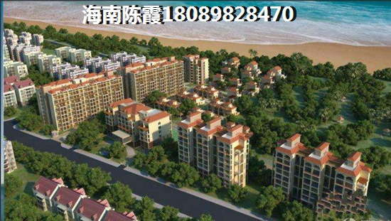 海口什么项目房价上涨了