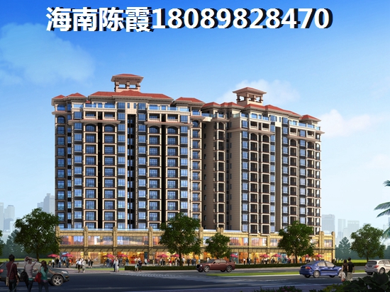 海口买房生纸空间多大，晨晖帝景开发商是什么公司？