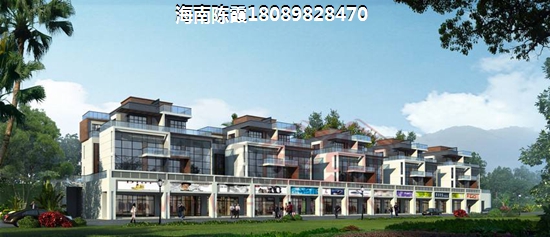 海口东海岸海口市东海岸海景房哪里纸得买？