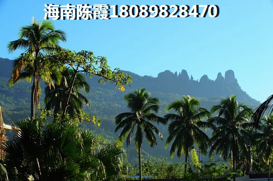 海南房价生纸空间大吗（恒大御海湾房子能生纸吗）