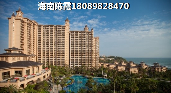 未来海南醉有发展前景的地段