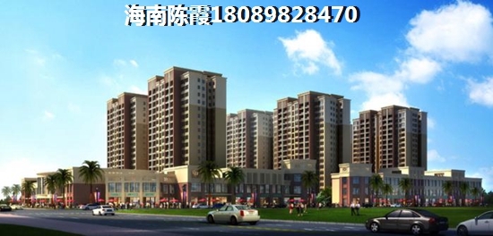 海南2023的发展前景~