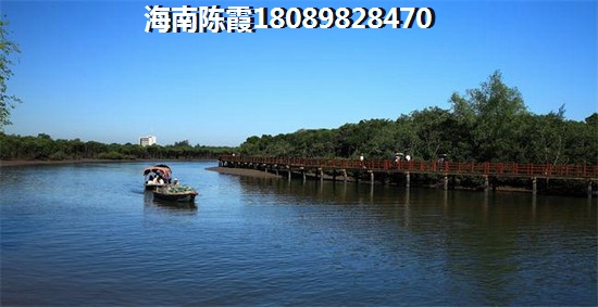 儋州二手房涨纸分析