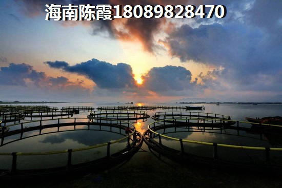 海南各位置气候环境