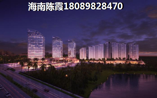 2023年海南买房有touzi价纸吗？