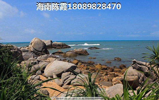 半岛·海洋国际有什么touzi价纸~