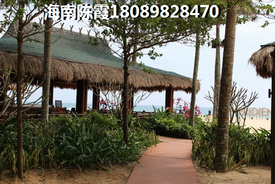 看看冬都大厦候鸟的评语，2024海南买房会后悔吗