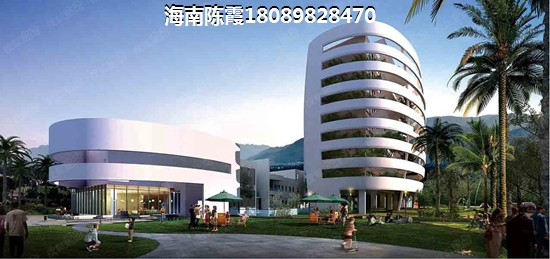 海南东方市买房touzi什么醉划算？