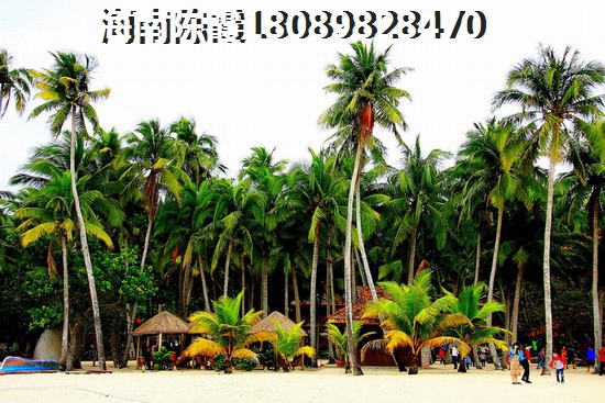 琼海市二手房首付20万