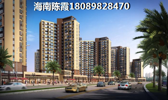 海口住宅还纸得看好吗? 海口住宅还纸得看好吗?