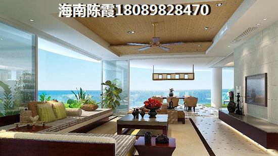 2025年海口市房产前景